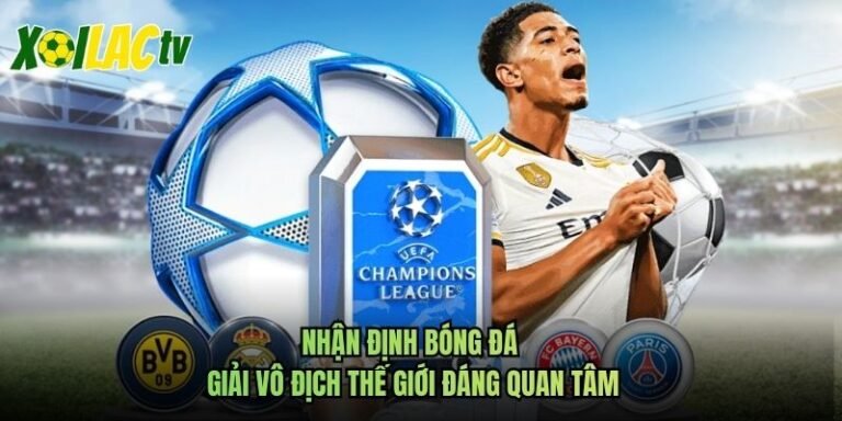 Nhận Định Bóng Đá Giải Vô Địch Thế Giới Đáng Quan Tâm